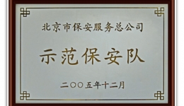 示范保安队