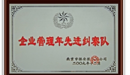 企业管理年先进纠察队