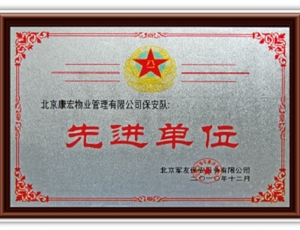 2010先进企业